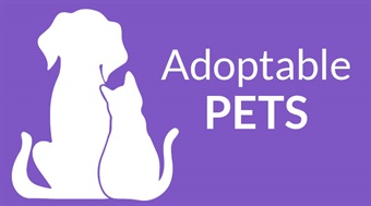 Adoptable pets logo dog and cat