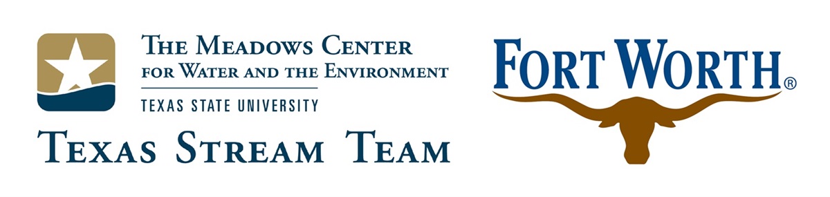 texas-stream-team_logo.jpg