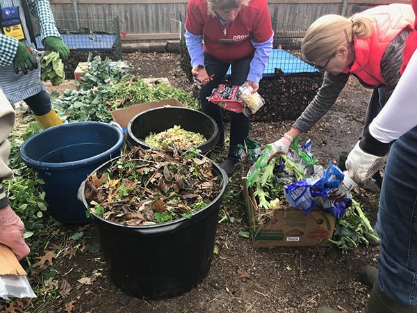 Gathering dead vegetables for compost Recycling residential food scrap