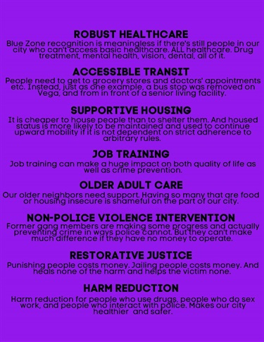 Robust Healthcare, Accessible Transit, supportive Housing, Job Training, Older Adult Care, Non-Police Violence Intervention, Restorative Justice and Harm Education