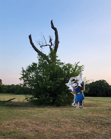 Molly shows dead tree