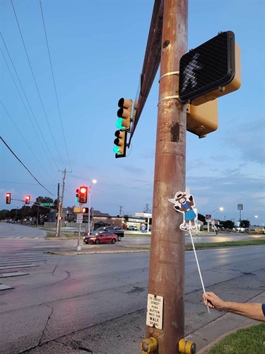 Molly @ street crosswalk signage