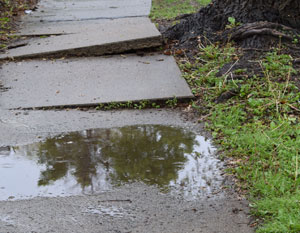 Sidewalk Repair