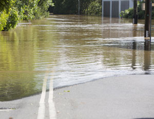 Standing Water near Storm Drain