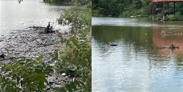 2022 Post Flood Litter Lake Cleanups