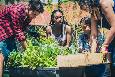 Youths gardening