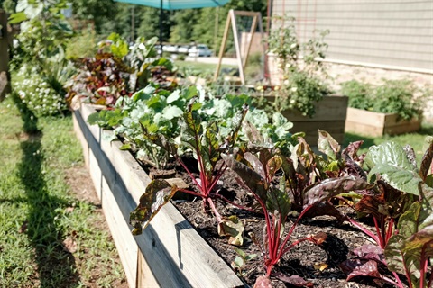 container-garden.jpg