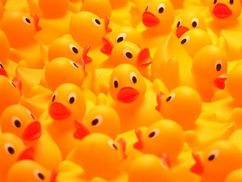 a photo of so many yellow rubber ducks