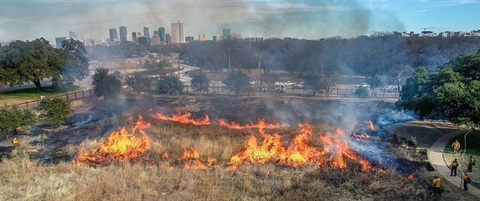 aerial shot of the prescribed burn with the skyline in the background