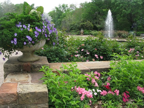 a scene of flowers at the Botanic Garden