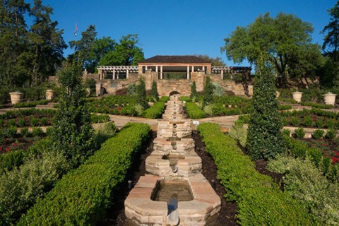 the steps at the Botanic Garden