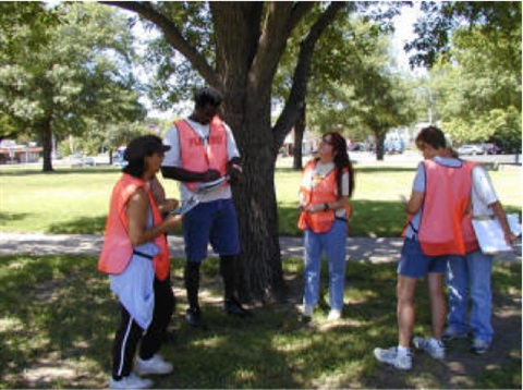 a group of volunteers in red vests group around a tree