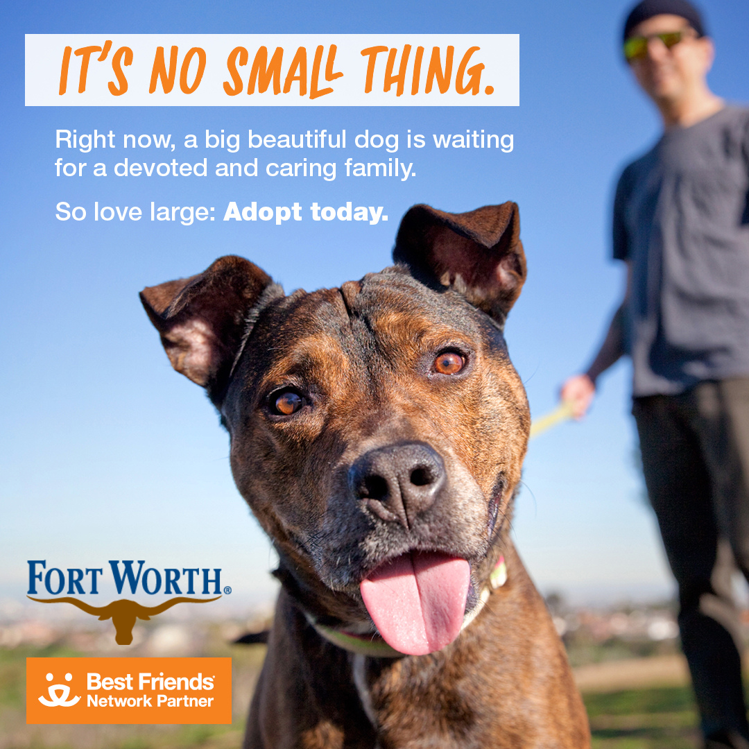 Fort Worth, Best Friends join to encourage community to adopt big – Welcome  to the City of Fort Worth