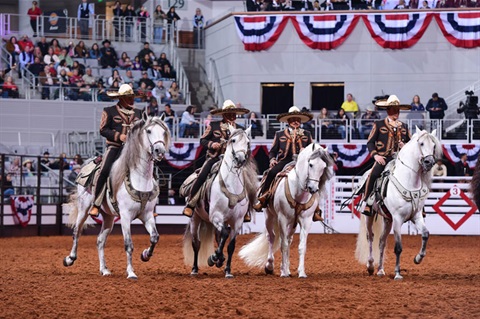 a group of charros wrangle up animals during the Stock Show rodeo