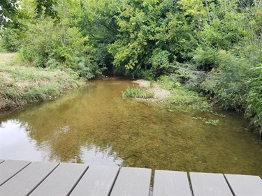 Whites Branch Creek