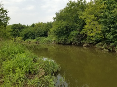 Whites Branch Creek