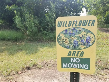 Wildflower Area sign