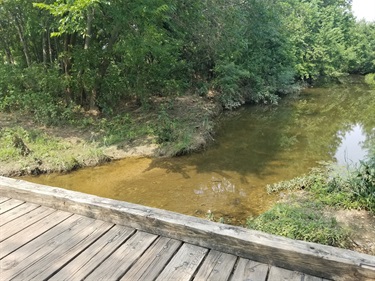 Whites Branch Creek