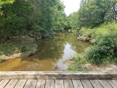 Whites Branch Creek