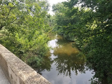 Whites Branch Creek