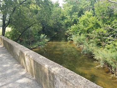 Whites Branch Creek