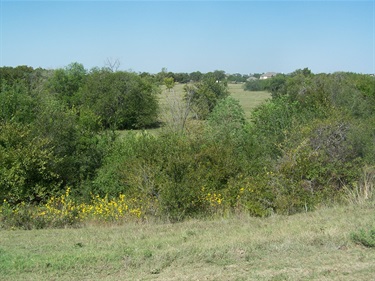 View from a hilltop