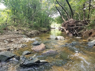 Whites Branch Creek