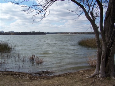 View of Lake Worth from Arrow S Park