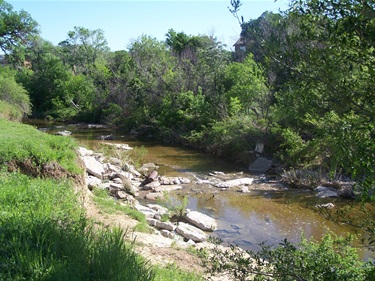 Sycamore Creek