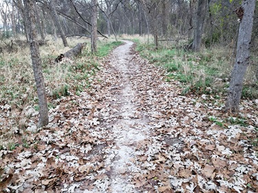 Trail unpaved