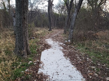 Trail