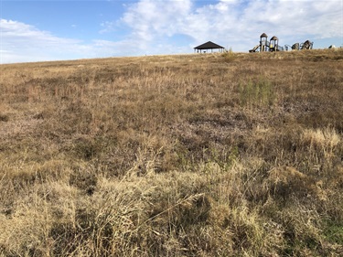 Playground on the Prairie