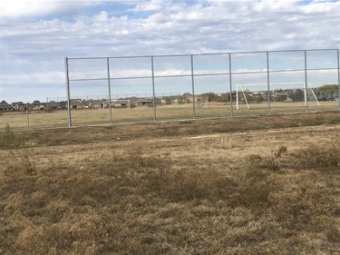 Soccer Field