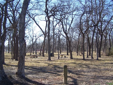 Picnic Tables