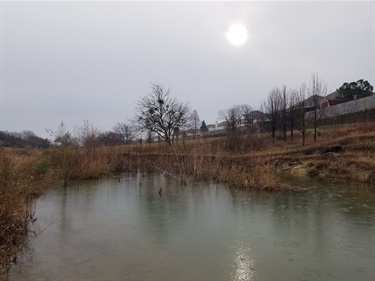 Sun shining through overcast as rain drops break water tension on the ephemeral pond.