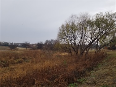 Riparian stream buffer at CP Hadley Park.