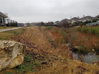 Aquatic habitat at CP Hadley Park. This is where all the wildlife action is!