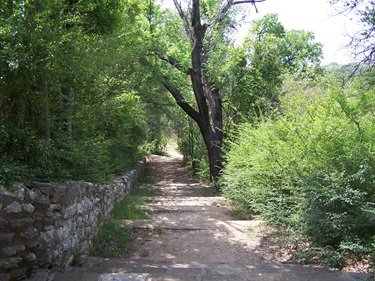 Path