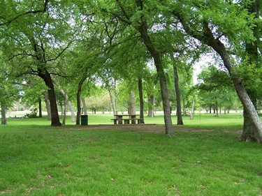 Table in the woods