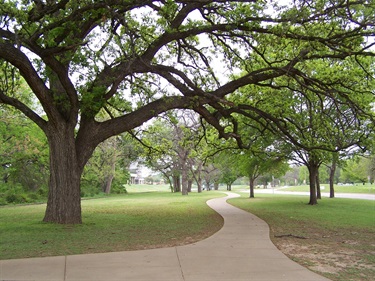 Trail Through Park