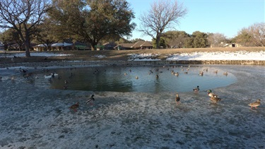 French Lake Frozen