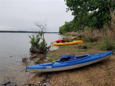 Goat Island