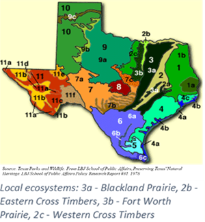 TPWD-Texas-Ecosystems.png