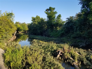 Big Fossil Creek