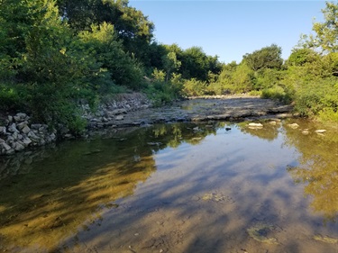 Big Fossil Creek