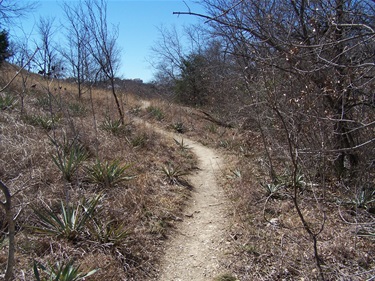 dirt trail