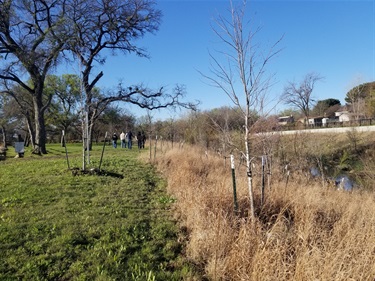 Riparian restoration