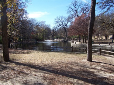 Duck pond