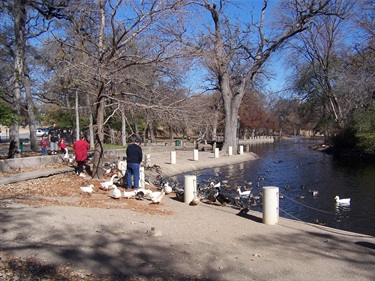 Duck pond