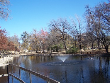 Duck pond